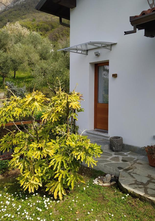 Il Bogno B&B Lierna Exterior photo