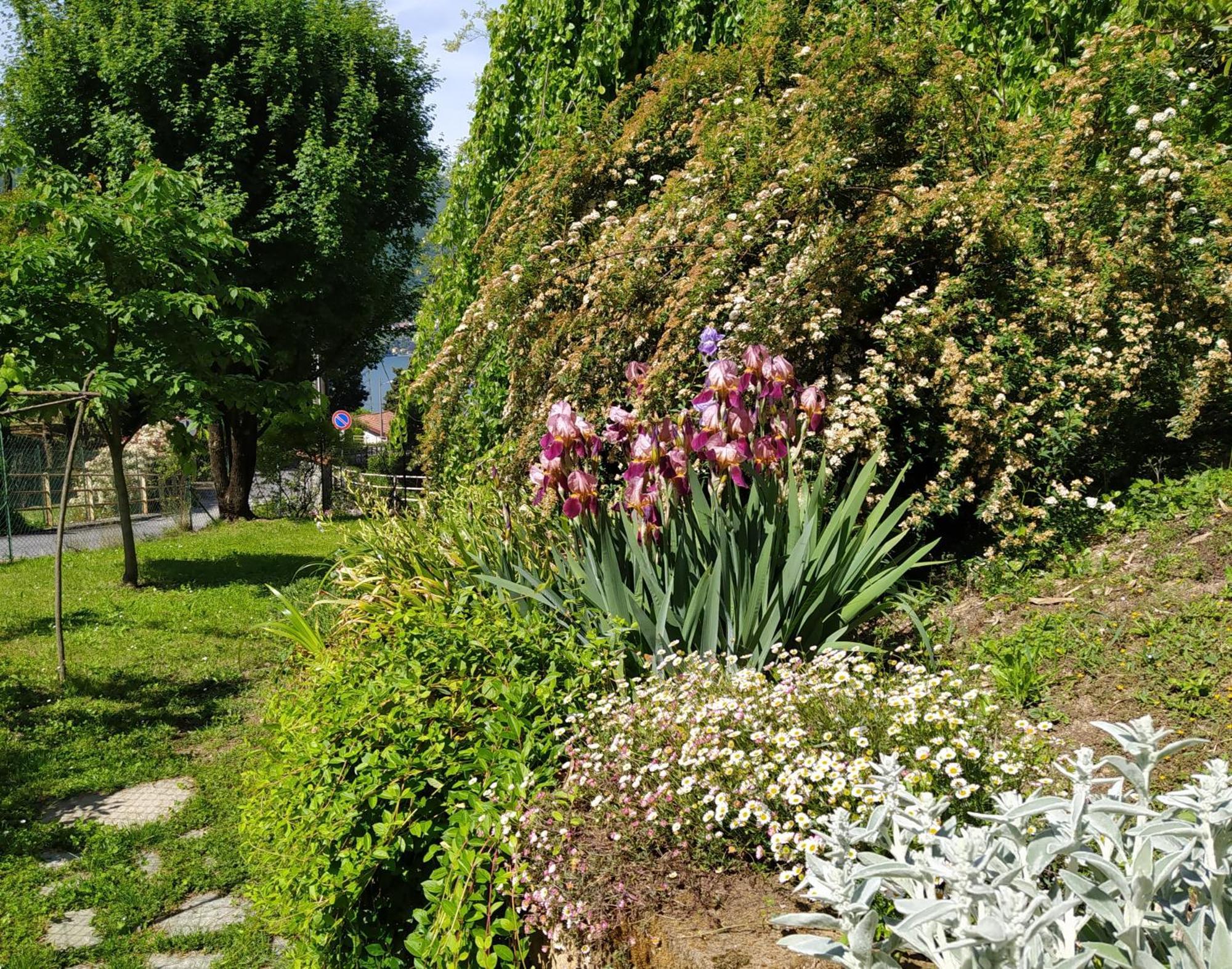 Il Bogno B&B Lierna Exterior photo