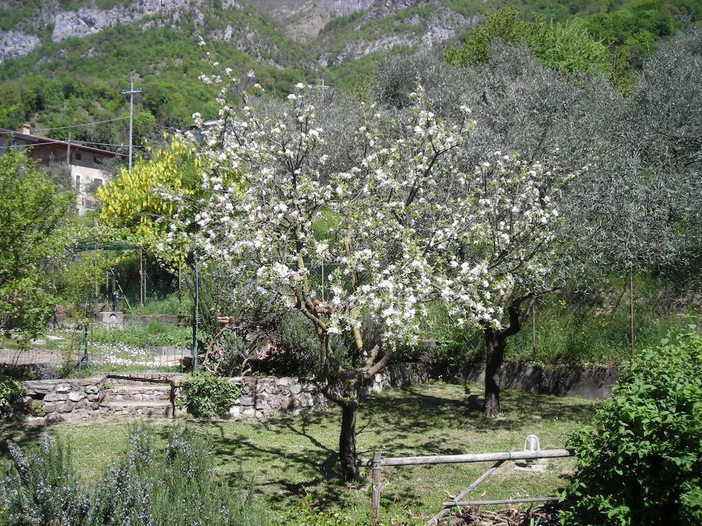 Il Bogno B&B Lierna Exterior photo